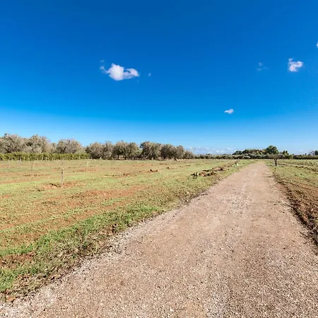 Dimora Seculari By Perle Di Puglia 梅萨涅